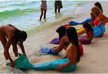 游泳学校教会你如何成为一个美人鱼